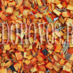 autumn wood, leaves, fallen, still life, color, abstraction